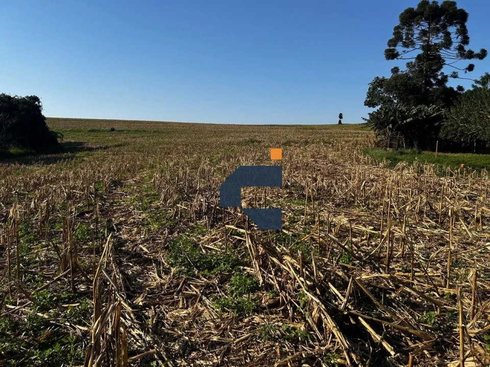 Fazenda/Sítios/Chácaras À Venda Zona Rural Cascavel
