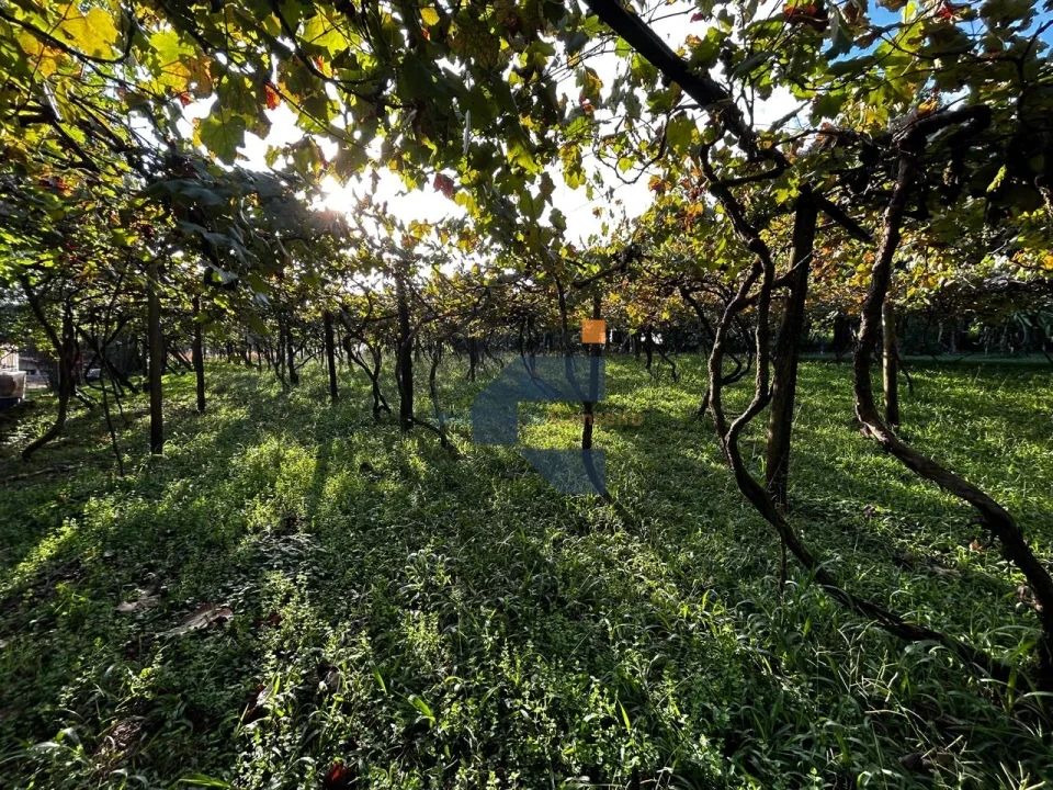 AREA RURAL A VENDA EM LINDOESTE