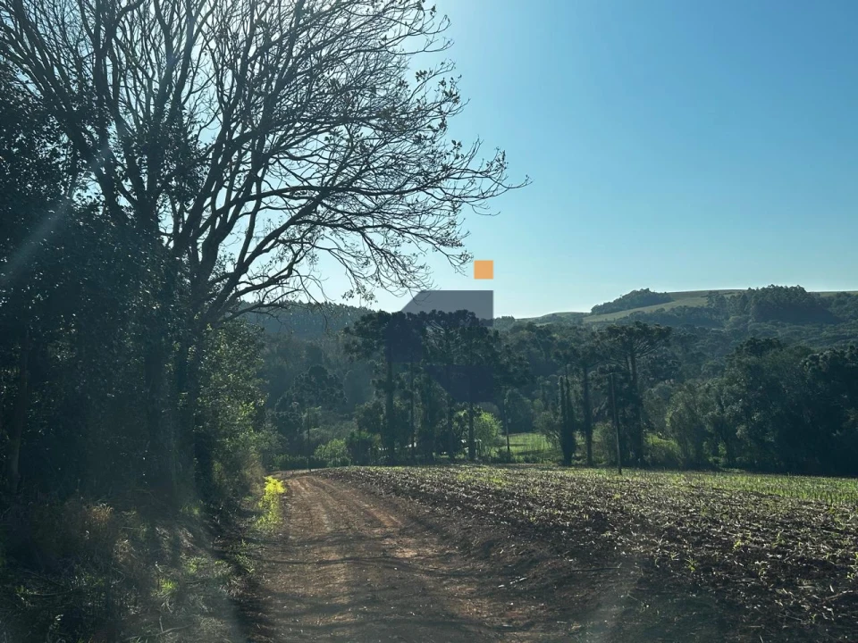Fazenda/Sítios/Chácaras À Venda São João D'Oeste Cascavel