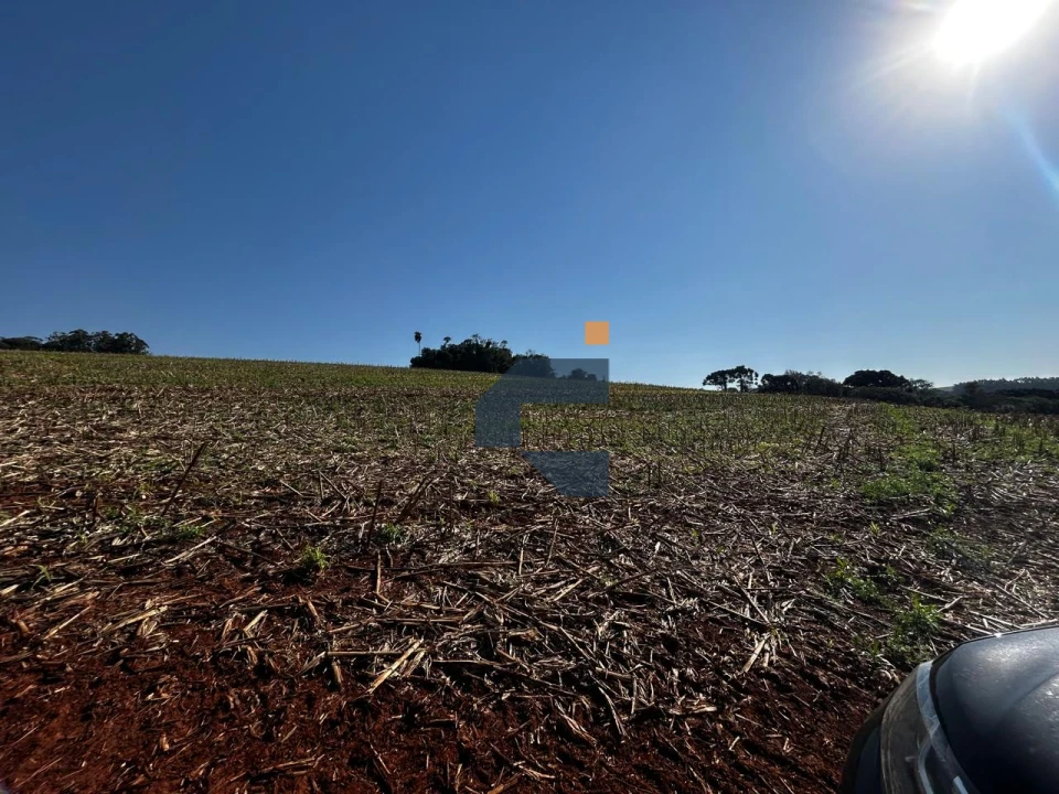 Fazenda/Sítios/Chácaras À Venda São João D'Oeste Cascavel