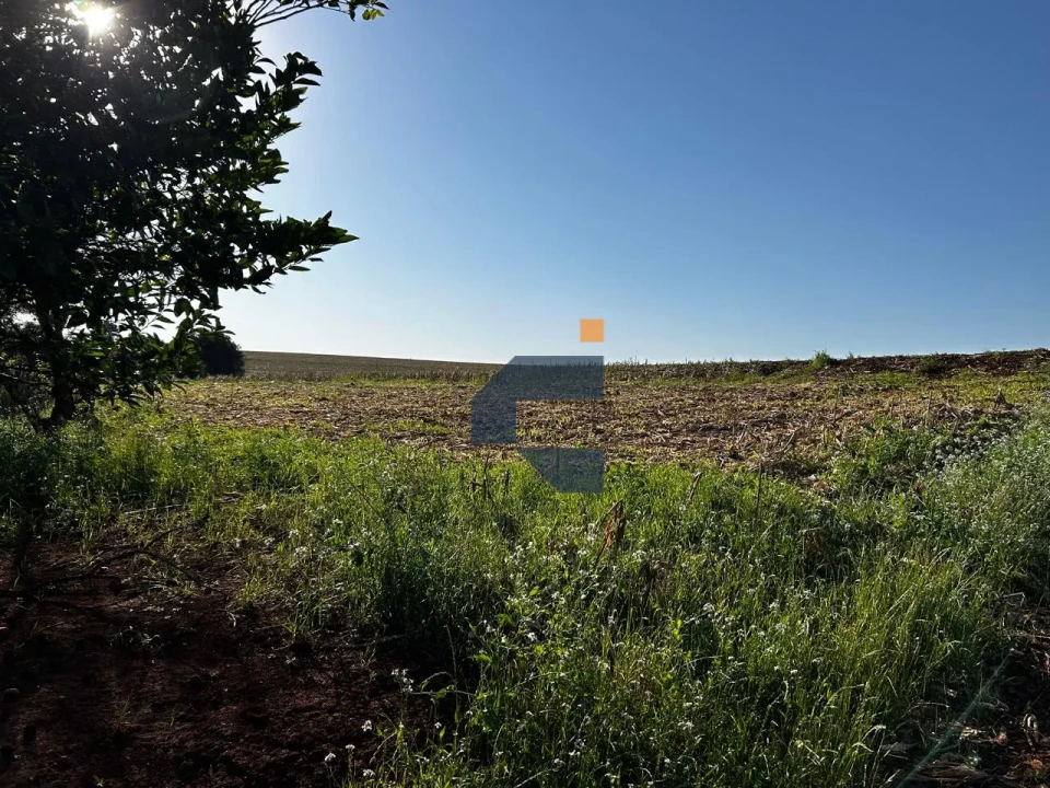 Fazenda/Sítios/Chácaras À Venda Zona Rural Cascavel