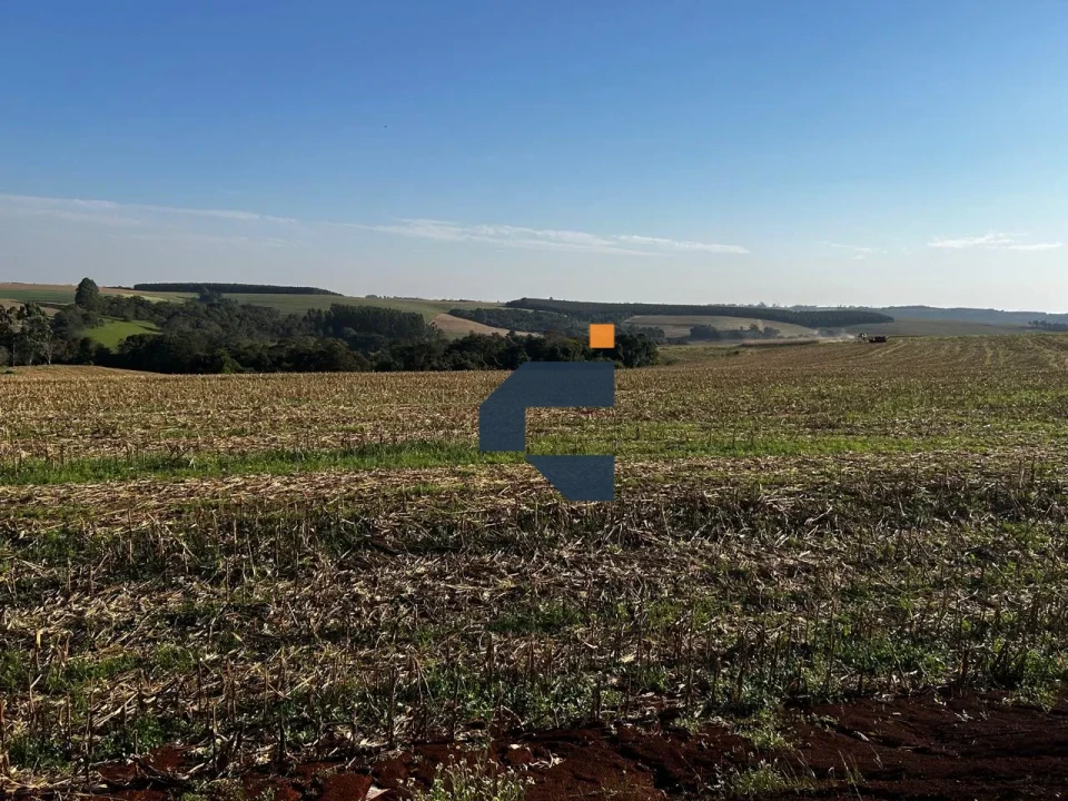 Fazenda/Sítios/Chácaras À Venda Zona Rural Cascavel
