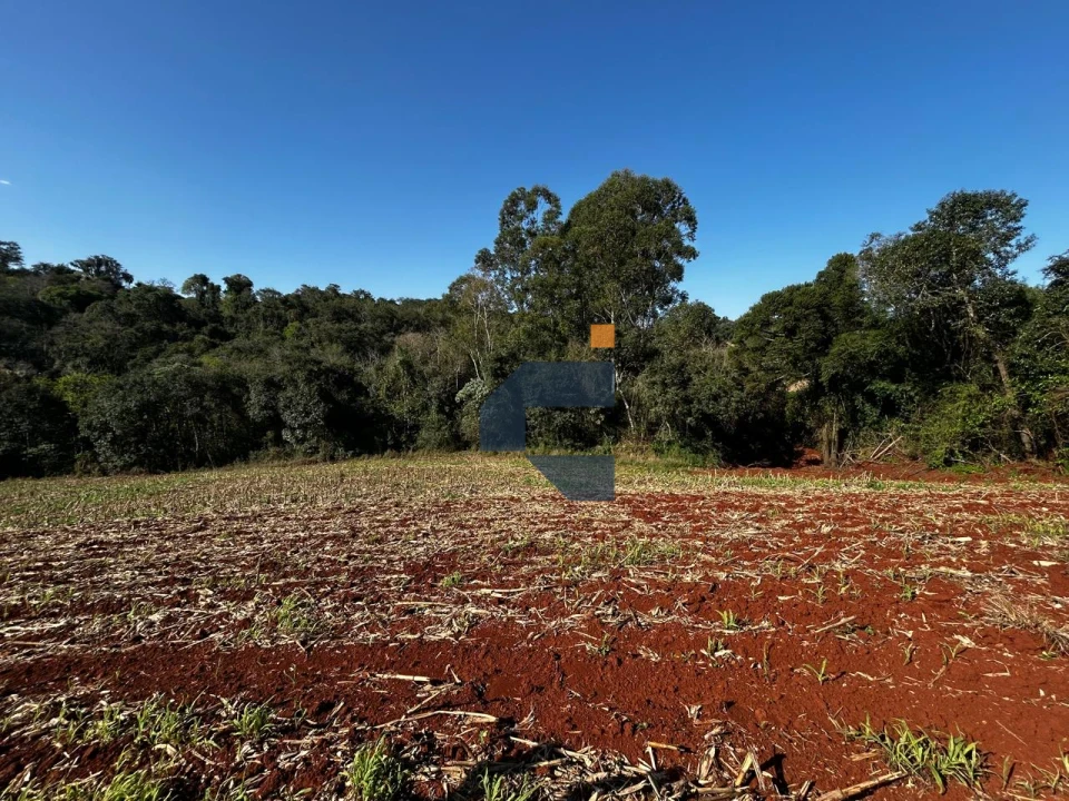 Fazenda/Sítios/Chácaras À Venda São João D'Oeste Cascavel