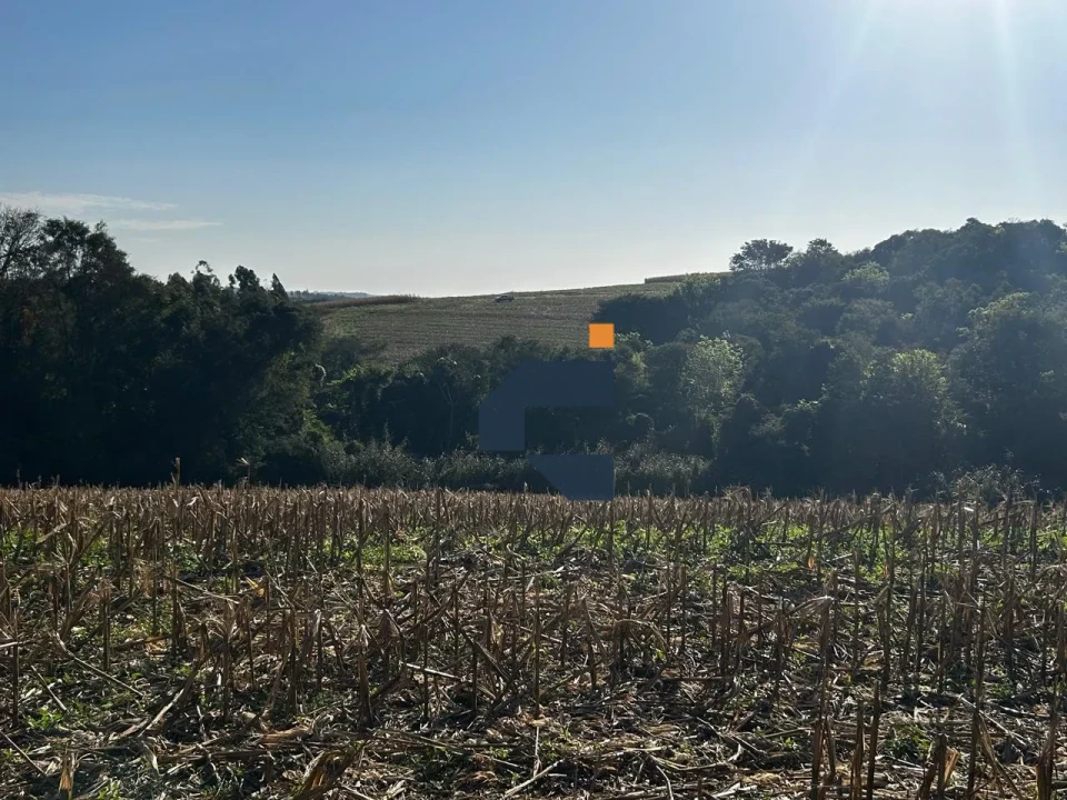 Fazenda/Sítios/Chácaras À Venda Zona Rural Cascavel