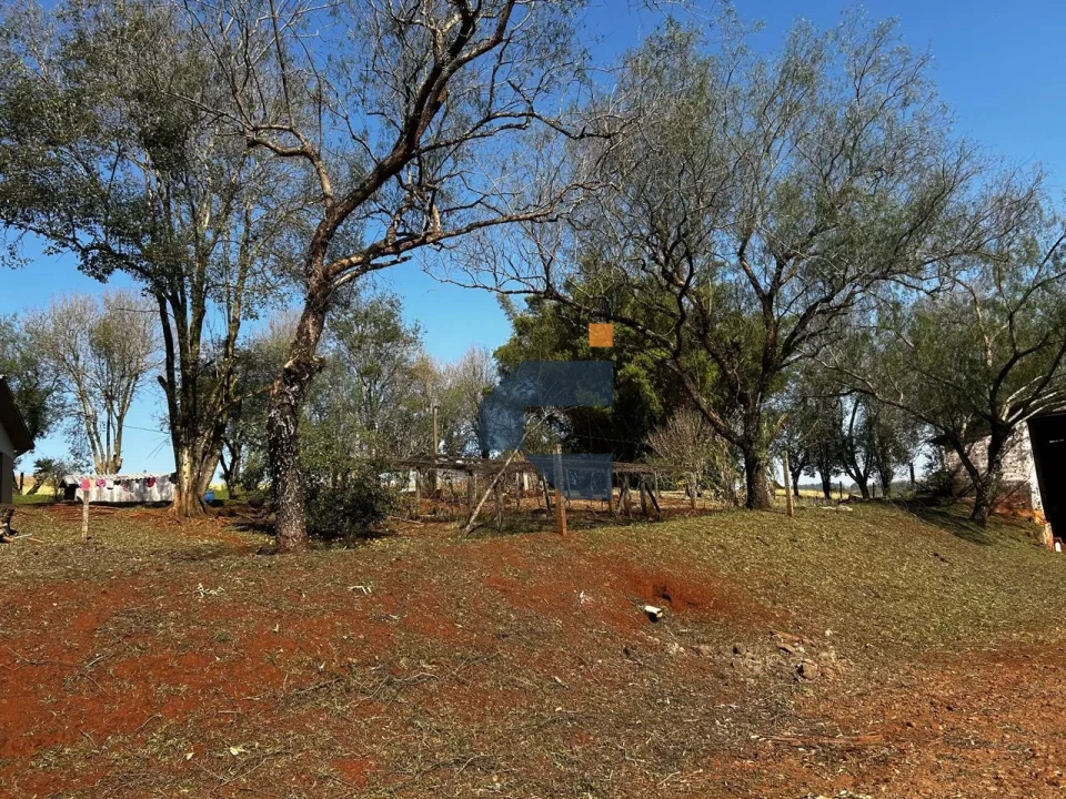 Fazenda/Sítios/Chácaras À Venda São João D'Oeste Cascavel