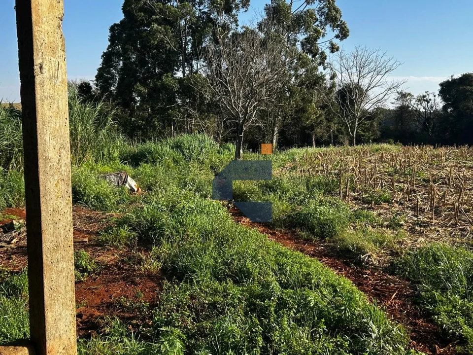 Fazenda/Sítios/Chácaras À Venda Zona Rural Cascavel