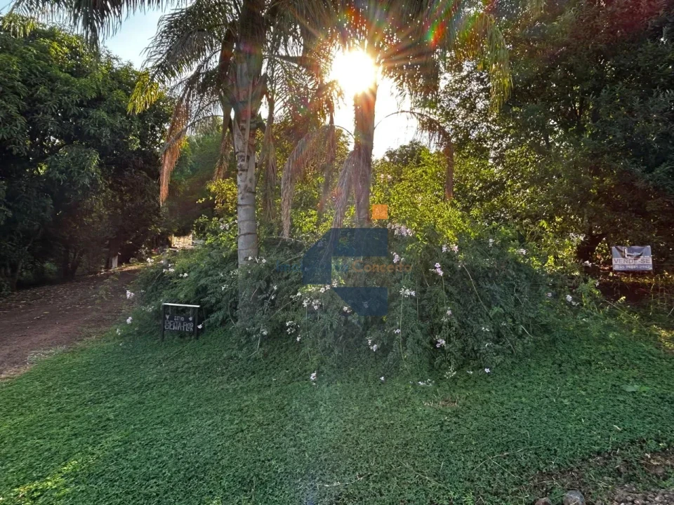 AREA RURAL A VENDA EM LINDOESTE