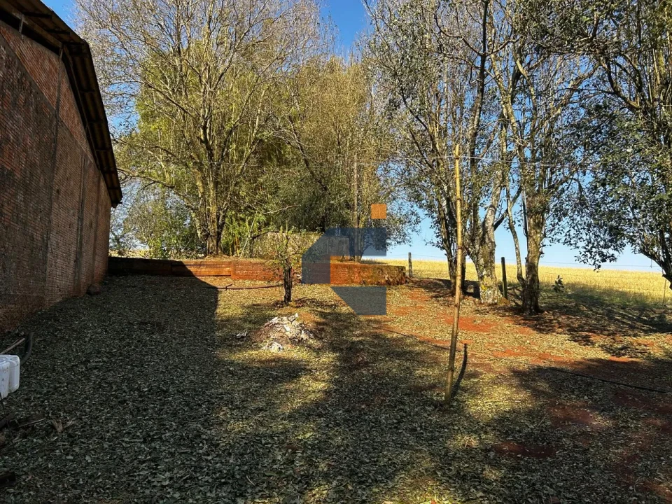 Fazenda/Sítios/Chácaras À Venda São João D'Oeste Cascavel