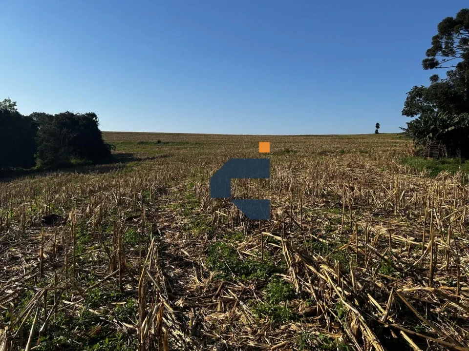 Fazenda/Sítios/Chácaras À Venda Zona Rural Cascavel
