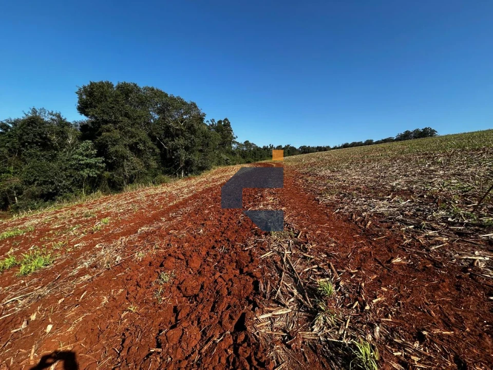 Fazenda/Sítios/Chácaras À Venda São João D'Oeste Cascavel
