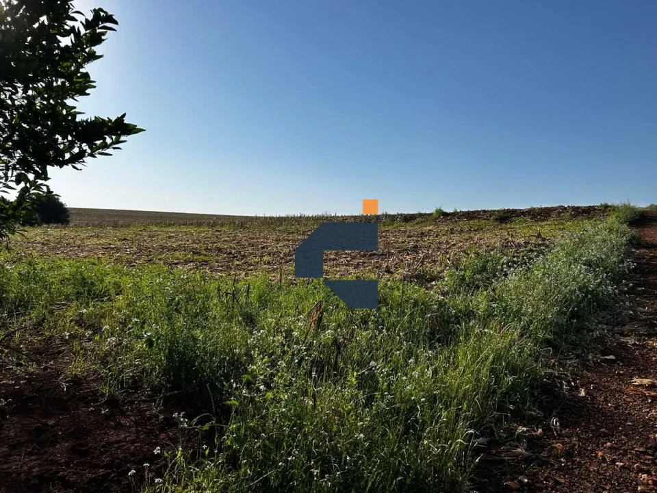 Fazenda/Sítios/Chácaras À Venda Zona Rural Cascavel