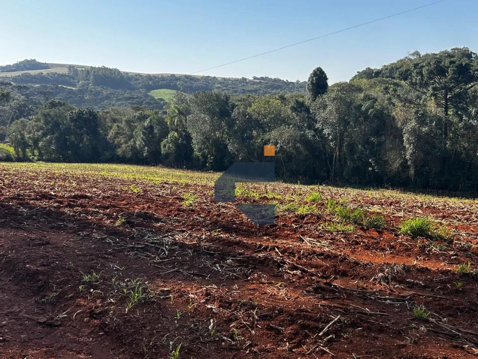 Fazenda/Sítios/Chácaras À Venda São João D'Oeste Cascavel