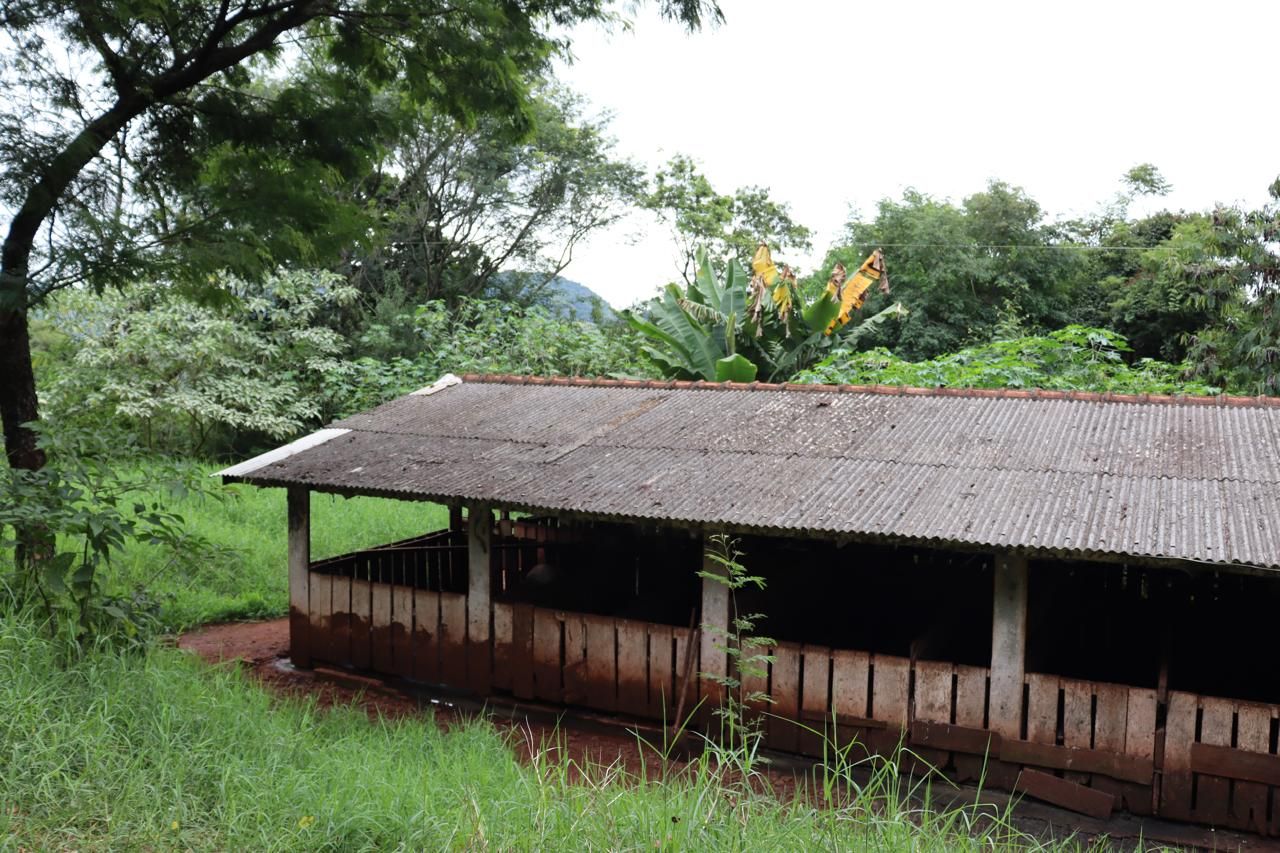 Imagens do imóveis AREA RURAL A VENDA EM LINDOESTE