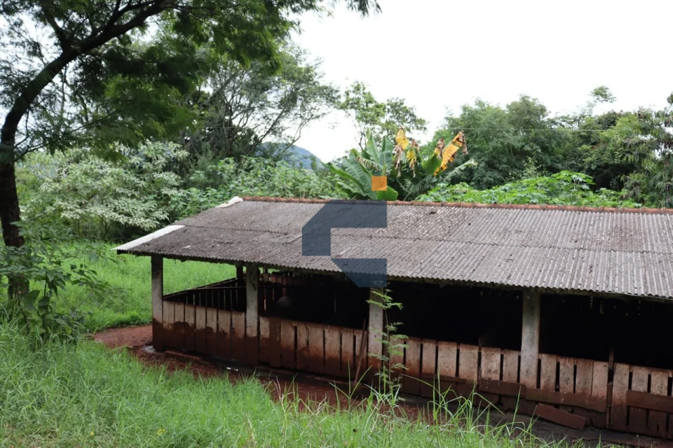 AREA RURAL A VENDA EM LINDOESTE