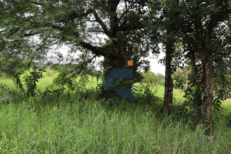 AREA RURAL A VENDA EM LINDOESTE