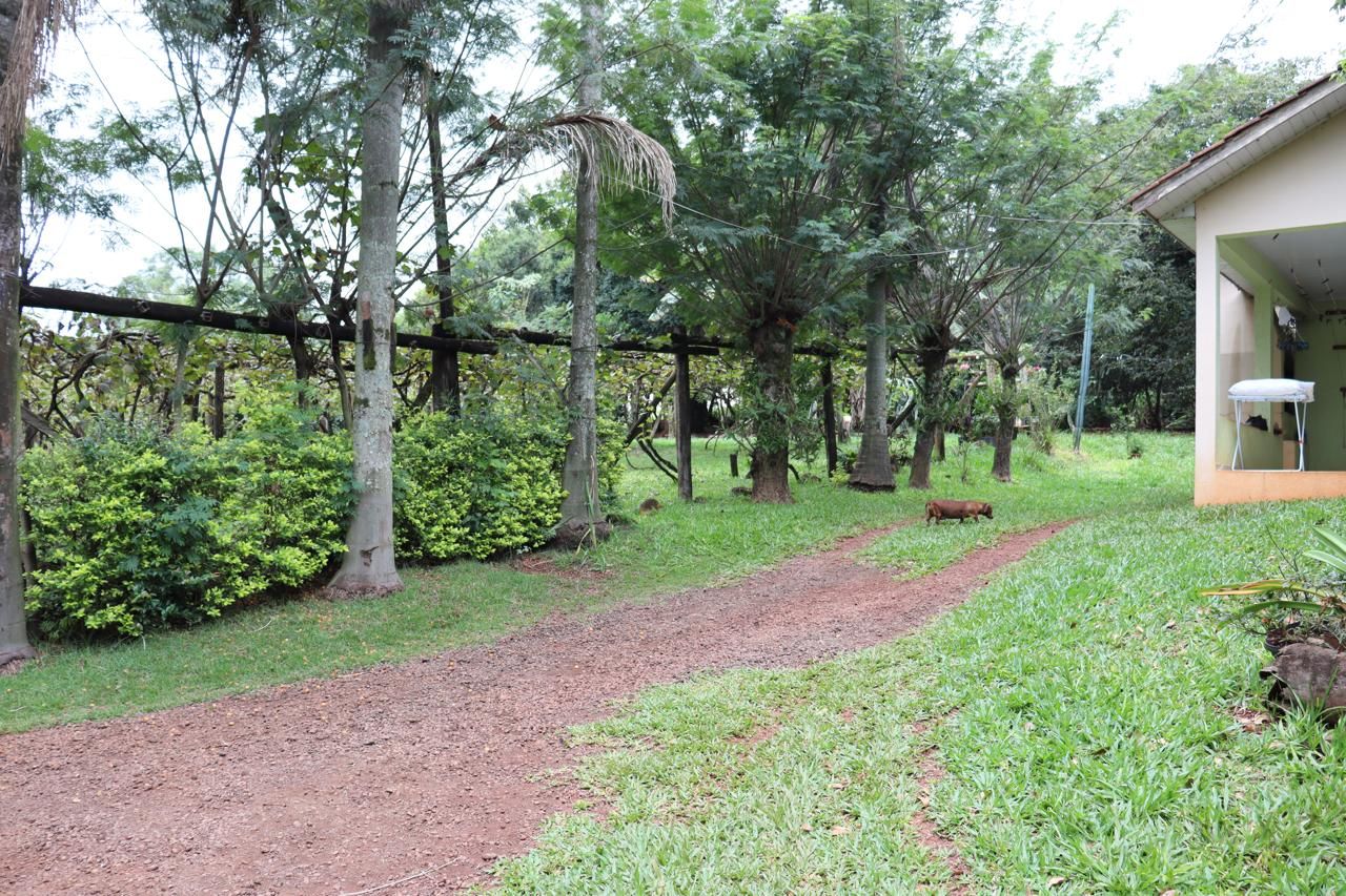 Imagens do imóveis AREA RURAL A VENDA EM LINDOESTE