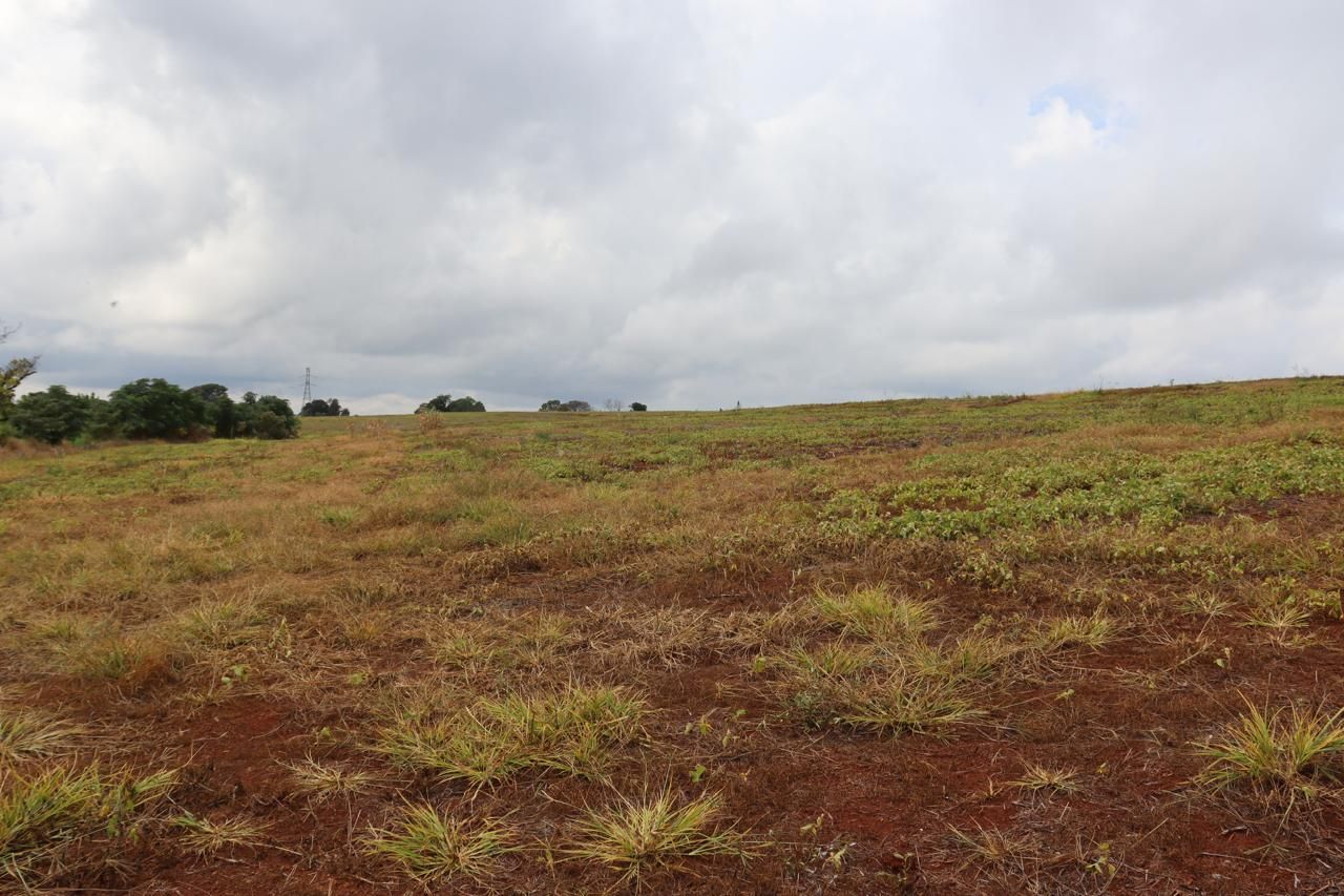 Imagens do imóveis AREA RURAL A VENDA EM LINDOESTE