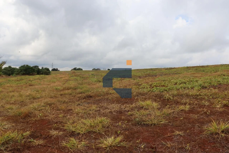 AREA RURAL A VENDA EM LINDOESTE