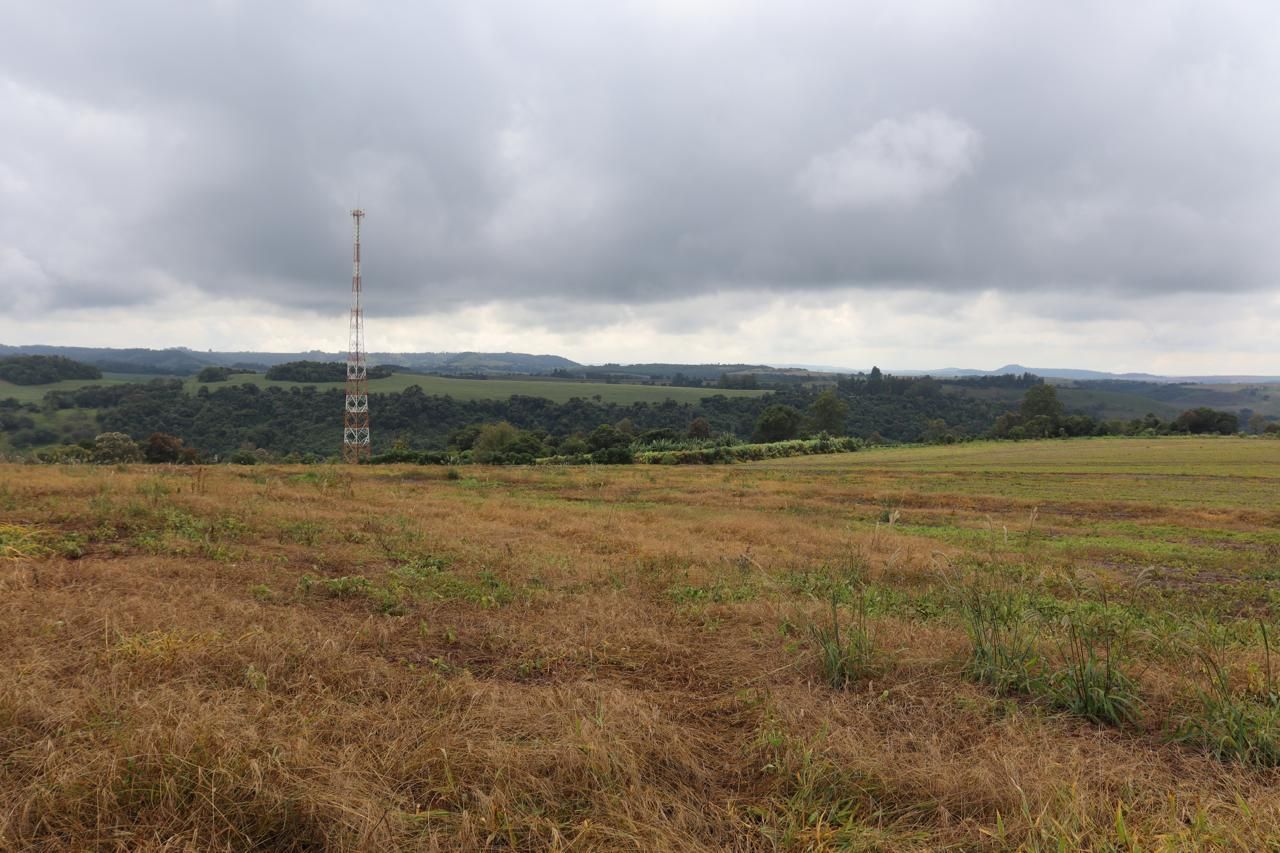 Imagens do imóveis AREA RURAL A VENDA EM LINDOESTE