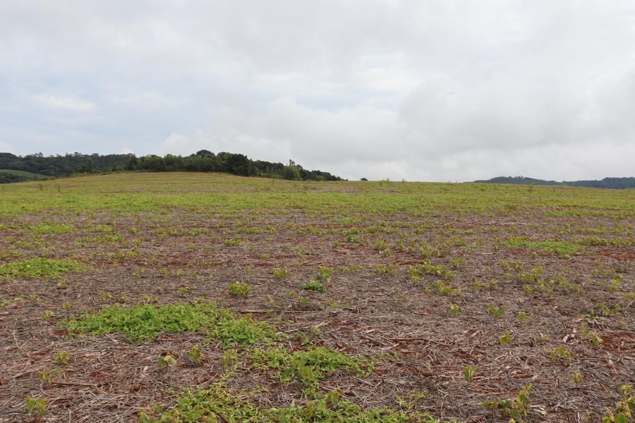 Imagens do imóveis AREA RURAL A VENDA EM LINDOESTE