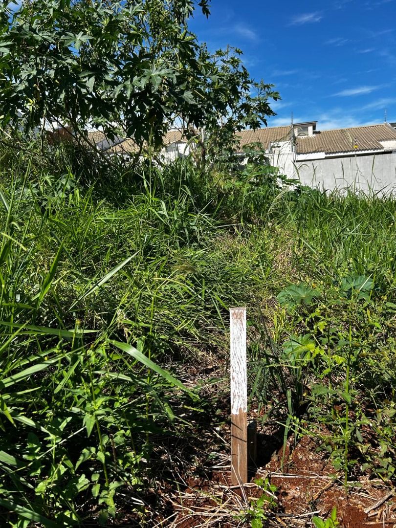 Imagens do imóveis EXCELENTE TERRENO COM 240 M2, EM REGIÃO QUE MAIS CRESCE EM CASCAVEL, APROVEITE!