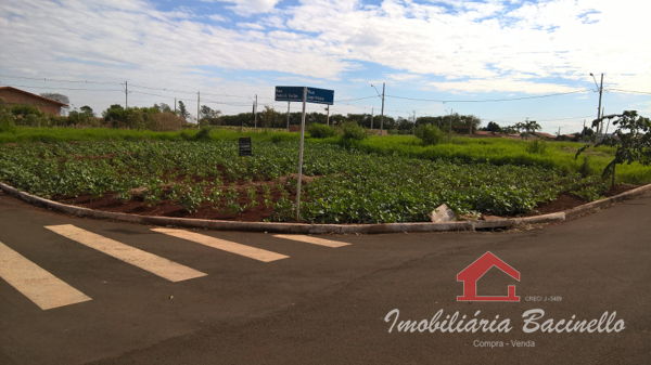 Terreno Residencial Benedito Ferreira