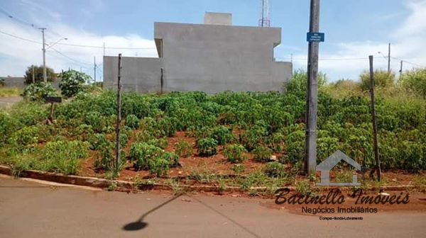 Imagens do imóveis Terreno Residencial Alto Paraíso