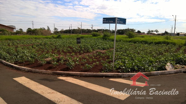 Terreno Residencial Benedito Ferreira
