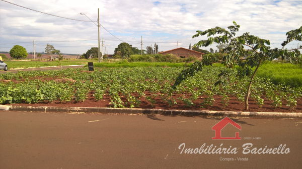 Terreno Residencial Benedito Ferreira