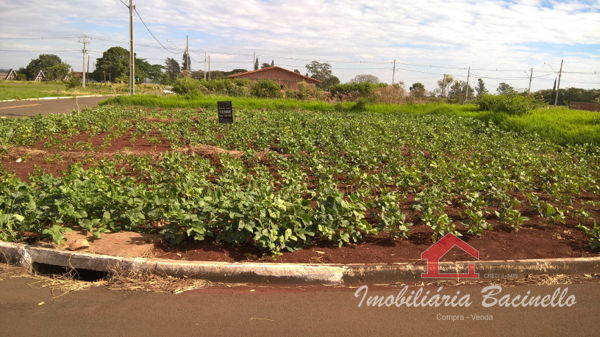 Terreno Residencial Benedito Ferreira