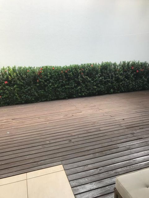 Imagens do imóveis 