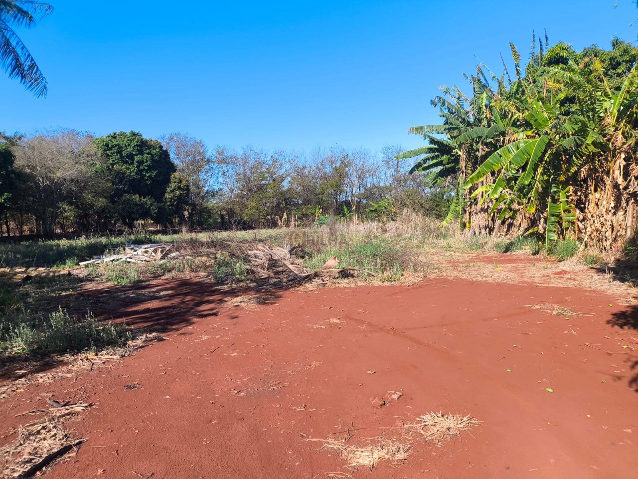 Imagens do imóveis Barracão para alugar  no bairro Gleba Jacutinga