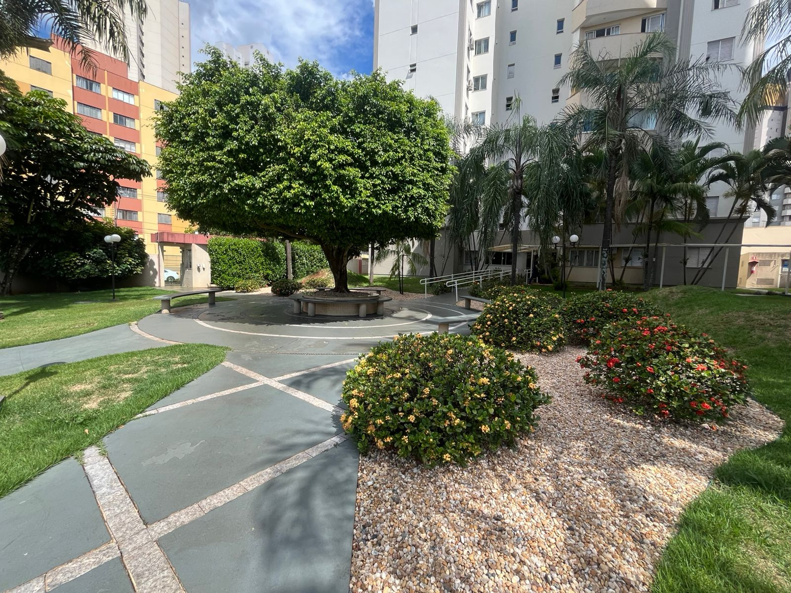 Imagens do imóveis Edificio Forest Park