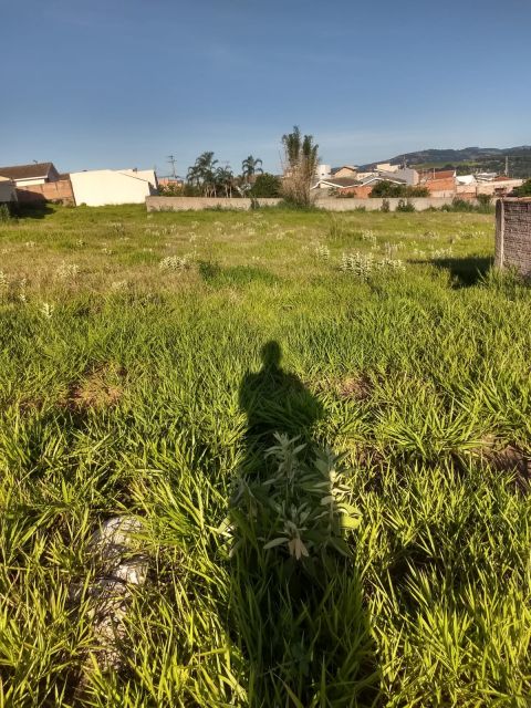 Imagens do imóveis 
