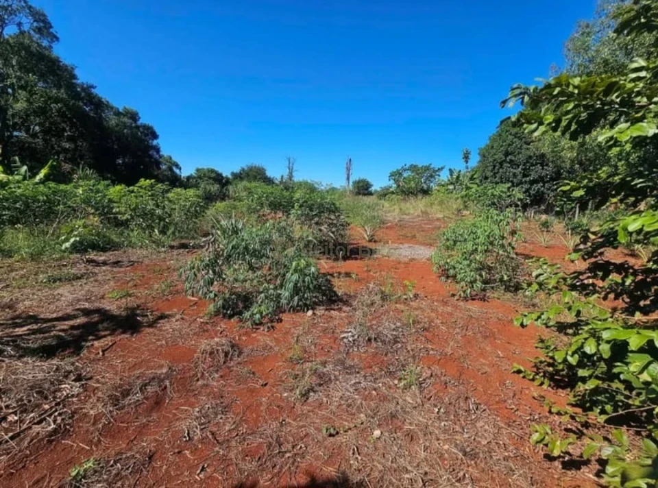 Imagens do imóveis Chácara no Distrito Espírito Santo em Londrina