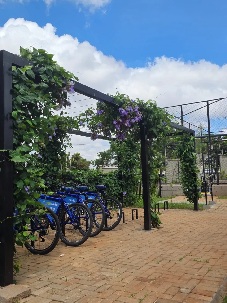 Imagens do imóveis APARTAMENTO PARA LOCAÇÃO EM FRENTE AO NORTE SHOPPING