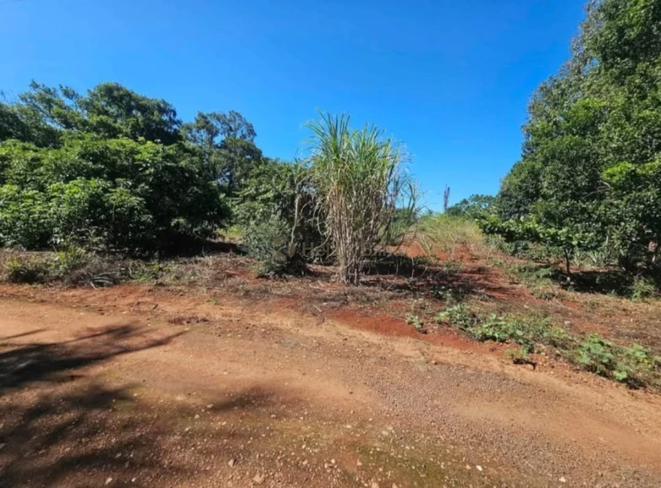 Imagens do imóveis Chácara no Distrito Espírito Santo em Londrina