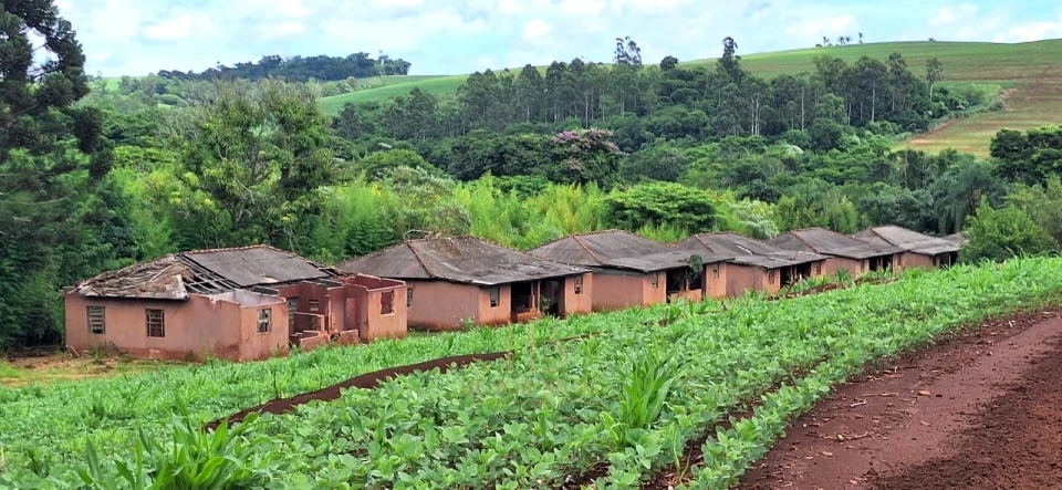Imagens do imóveis Fazenda Norte Velho Paraná