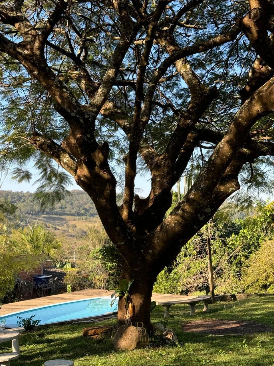 Imagens do imóveis Chácara para Locação – Limoeiro | Estrada dos Piriquitos