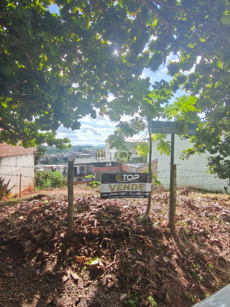 Imagens do imóveis TERRENO A VENDA - SÃO GOTARDO