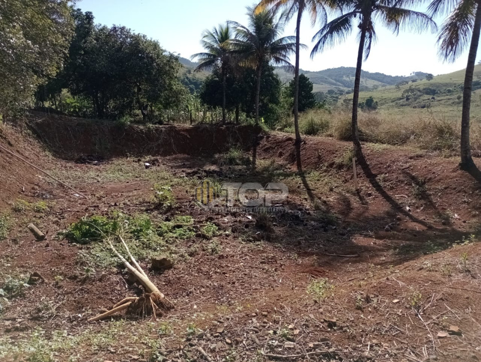 Imagens do imóveis Fazenda/Sítios/Chácaras Á Venda São João Da Gloria  12 Km De Muriaé