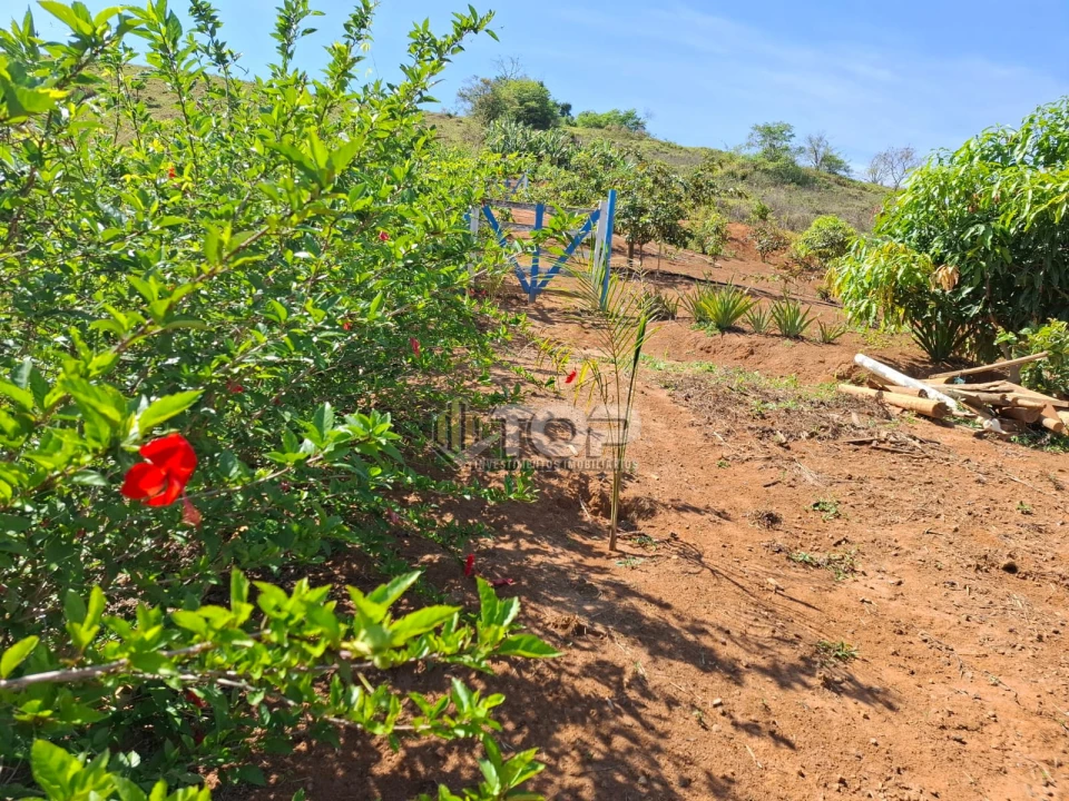 Imagens do imóveis SITIO A  VENDA -PRATINHA
