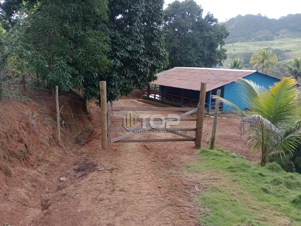 Imagens do imóveis Fazenda/Sítios/Chácaras Á Venda São João Da Gloria  12 Km De Muriaé