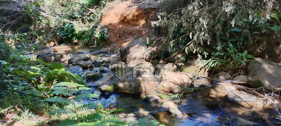 Imagens do imóveis Fazenda/Sítios/Chácaras Á Venda São João Da Gloria  12 Km De Muriaé