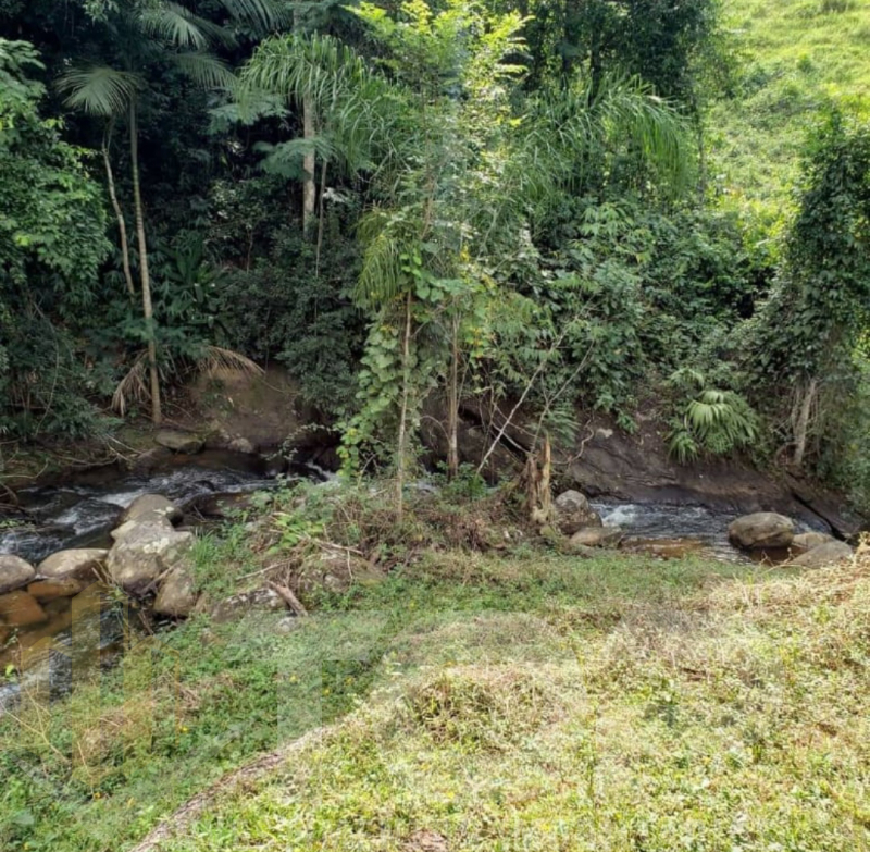 Imagens do imóveis Sítio á venda