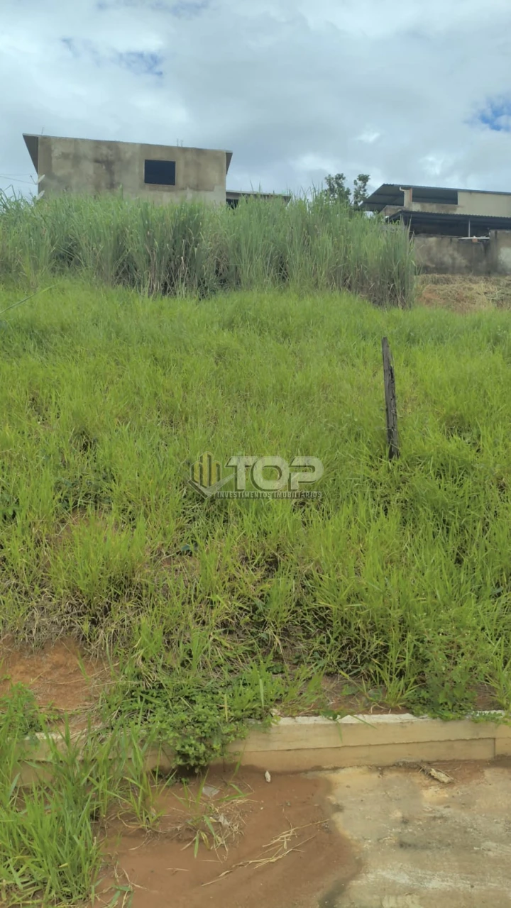 Imagens do imóveis TERRENO A VENDA - COLETY