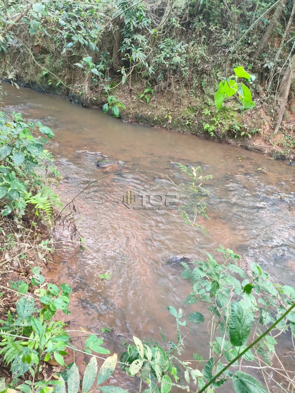 Imagens do imóveis SITIO P/ VENDA 6KM DE MURIAÉ