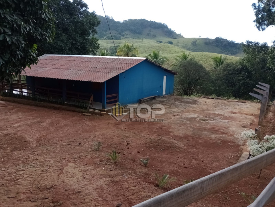 Imagens do imóveis Fazenda/Sítios/Chácaras Á Venda São João Da Gloria  12 Km De Muriaé