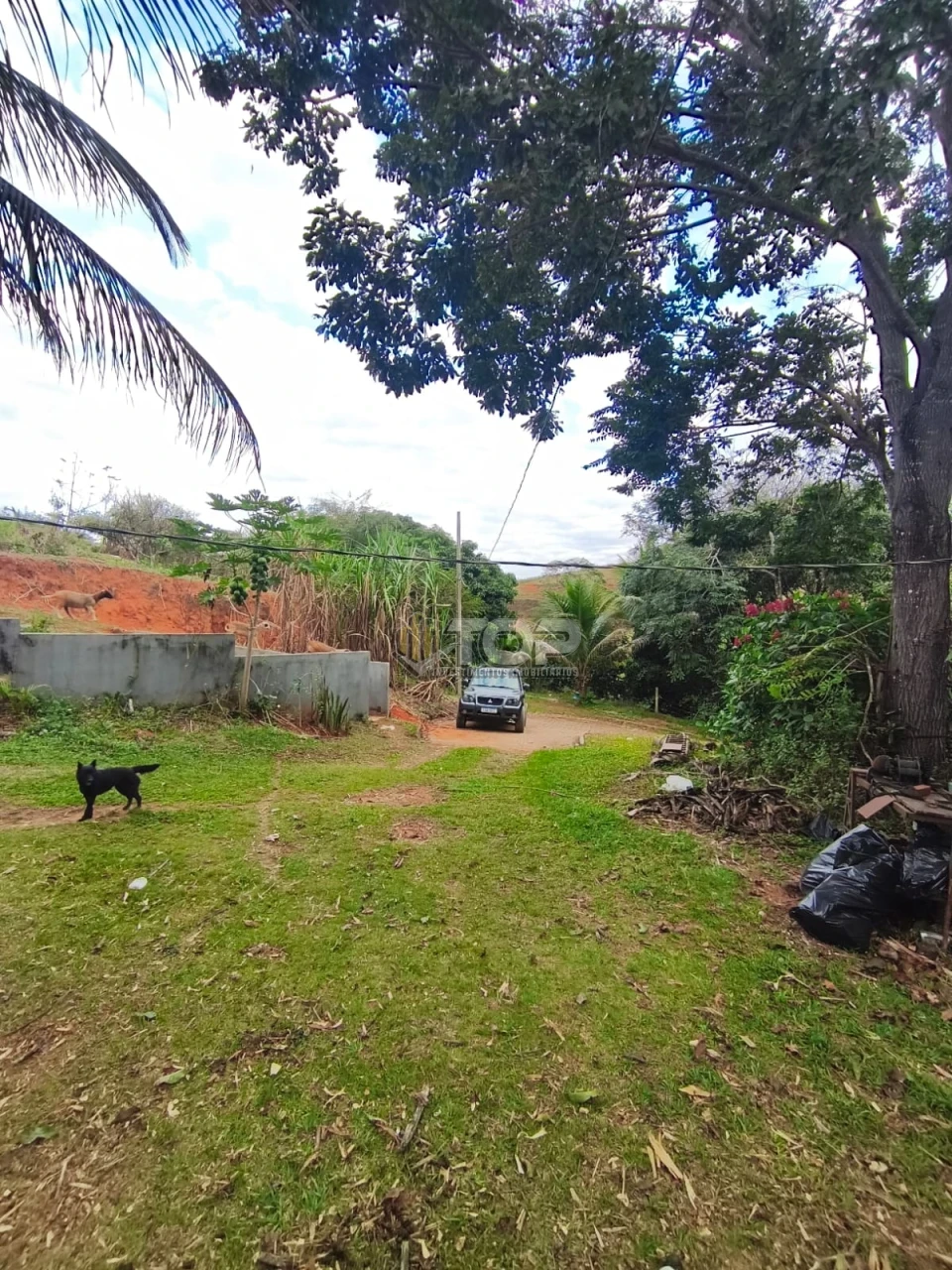 Imagens do imóveis SITIO P/ VENDA 6KM DE MURIAÉ