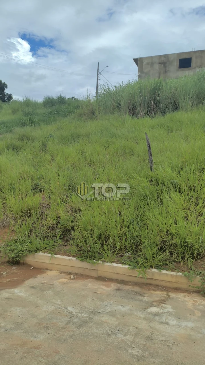 Imagens do imóveis TERRENO A VENDA - COLETY